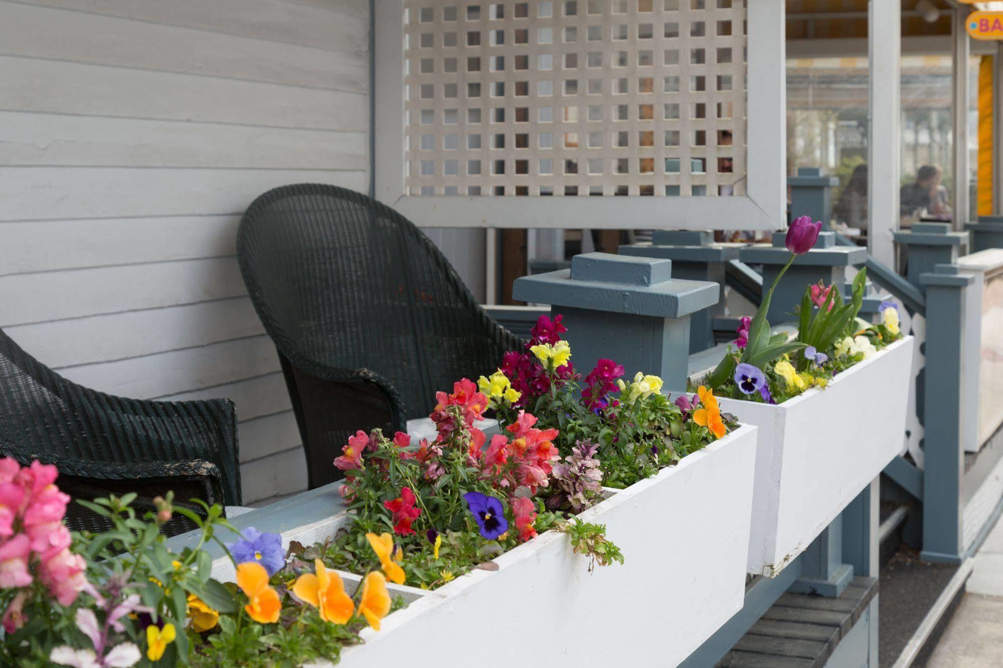The Carroll Villa Hotel Cape May Dış mekan fotoğraf